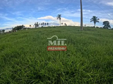 Fazenda/Sítio à venda, 500m² no , Colinas do Sul