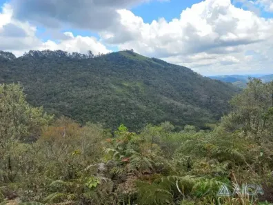 Lote/Terreno à venda, 24800m² no , Petrópolis