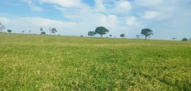 Fazenda/Sítio à venda, 3630000m² no Área Rural de Sandovalina, Sandovalina