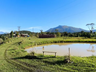 Fazenda/Sítio com 4 Quartos à venda, 208036m² no , 