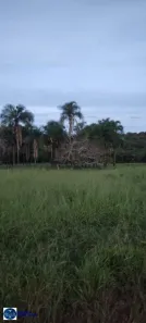 Fazenda/Sítio com 3 Quartos à venda, 7m² no Setor Central, Amorinópolis