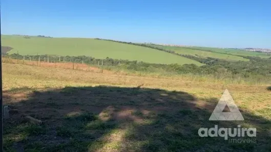 Lote/Terreno à venda, 356m² no Jardim Carvalho, Ponta Grossa
