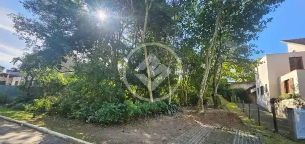 Lote/Terreno à venda, 390m² no Rio Tavares, Florianópolis