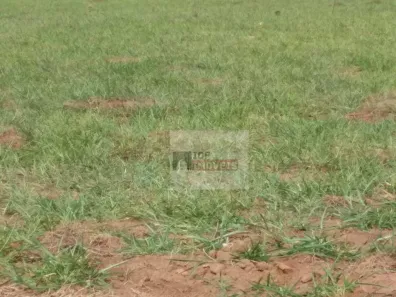Lote/Terreno à venda, 300m² no Jardim das Orquídeas, Americana