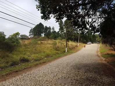 Lote/Terreno à venda, 5m² no Paisagem Renoir, Cotia