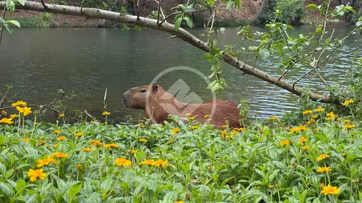 Lote/Terreno à venda, 1400m² no Condados da Lagoa, Lagoa Santa