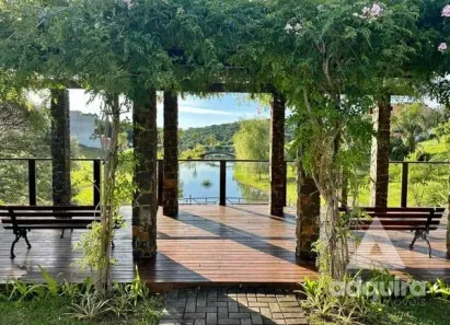 Lote/Terreno à venda, 409m² no Colônia Dona Luíza, Ponta Grossa
