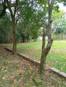 Lote/Terreno à venda, 138m² no Campo Novo, Porto Alegre