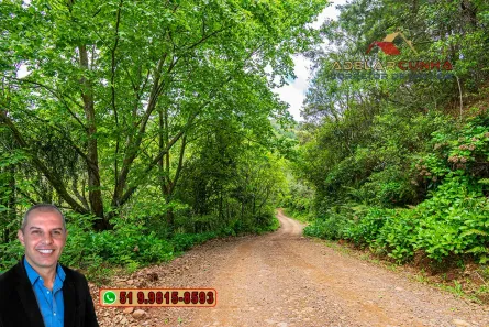 Lote/Terreno à venda, 10000m² no Centro, São Francisco de Paula