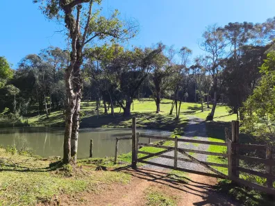 Lote/Terreno à venda, 30000m² no , Campo Alegre