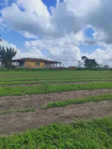 Fazenda/Sítio com 3 Quartos à venda, 170000m² no , São José de Mipibu