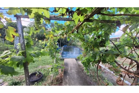 Fazenda/Sítio com 3 Quartos à venda, 21000m² no Sapé, Itaporanga d'Ajuda