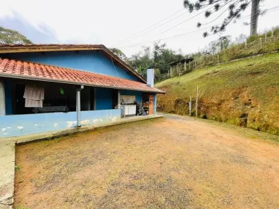Fazenda/Sítio com 3 Quartos à venda, 40000m² no , Sapucaí-Mirim