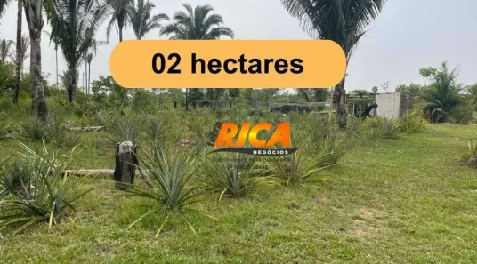 Fazenda/Sítio à venda, 20000m² no Área Rural de Porto Velho, Porto Velho