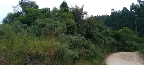 Fazenda/Sítio à venda, 169400m² no Morro Azul, Almirante Tamandaré
