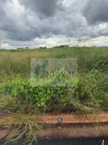 Lote/Terreno à venda, 254m² no Parque das Oliveiras II, Ribeirão Preto
