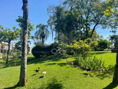 Lote/Terreno à venda, 370m² no Jardim Mauá II, Jaguariúna