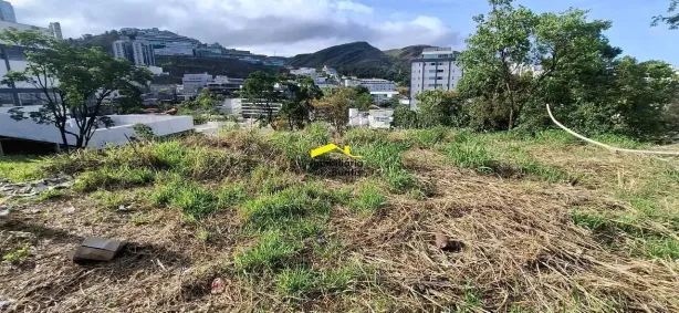 Lote/Terreno à venda, 767m² no Estoril, Belo Horizonte