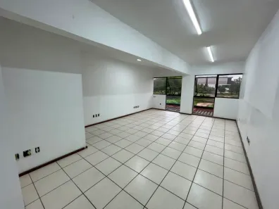 Sala Comercial para alugar, 40m² no Rio Branco, Novo Hamburgo
