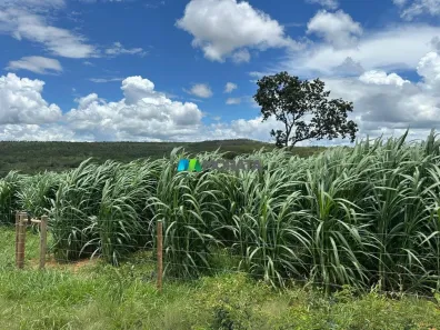 Fazenda/Sítio com 1 Quarto à venda, 108m² no , Corinto