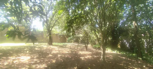 Lote/Terreno à venda, 700m² no Rolante, Rolante