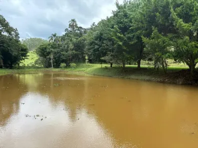 Fazenda/Sítio à venda, 250000m² no , Piracaia