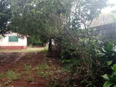 Fazenda/Sítio com 2 Quartos à venda, 80m² no Área Rural de Itapetininga, Itapetininga