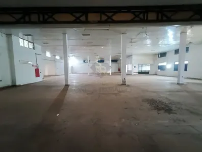 Galpão/Depósito/Armazém à venda, 182m² no Jardim Jandaia, Ribeirão Preto