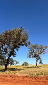 Lote/Terreno à venda, 1588m² no br 153, Hidrolândia