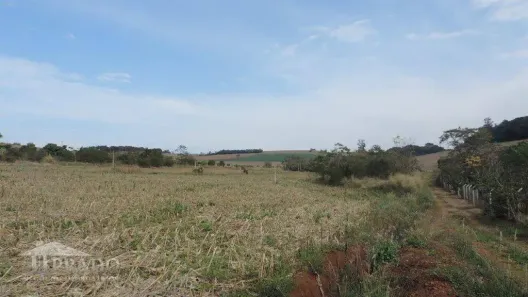 Lote/Terreno à venda, 20000m² no Esperança, Ibiporã