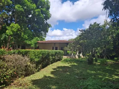 Fazenda/Sítio à venda, 10696m² no Aldeia dos Camarás, Camaragibe