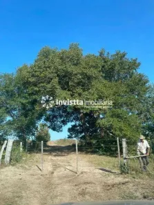 Fazenda/Sítio à venda, 50330000m² no , Peixe