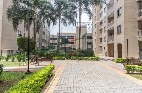 Apartamento com 2 Quartos à venda, 54m² no Vila Moreira, São Paulo