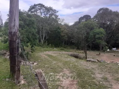 Lote/Terreno à venda, 7316m² no São Virgílio, Caxias do Sul