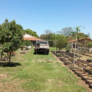 Fazenda/Sítio com 3 Quartos à venda, 200m² no Sítios de Recreio Terras da Boa Vista, Marília