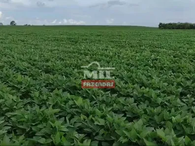 Fazenda/Sítio à venda, 500m² no , Monte do Carmo