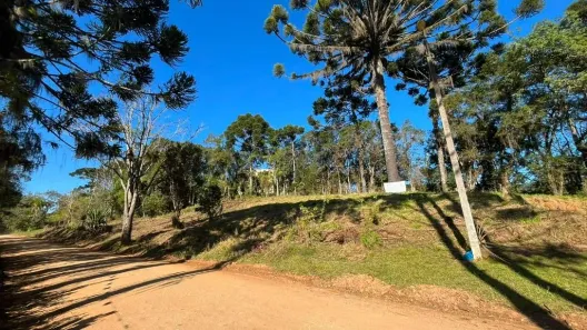 Fazenda/Sítio à venda, 5000m² no Vila David Antônio, Campo Largo