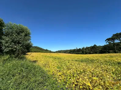 Lote/Terreno à venda, 133100m² no Lamenha Grande, Almirante Tamandaré