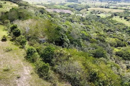 Fazenda/Sítio à venda, 108000m² no , Pedro Régis