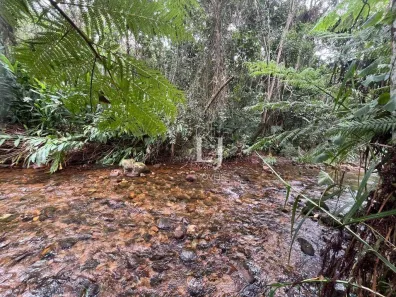 Lote/Terreno à venda, 203736m² no Pedro do Rio, Petrópolis