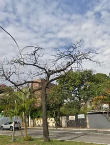 Lote/Terreno à venda, 640m² no Vila Hamburguesa, São Paulo