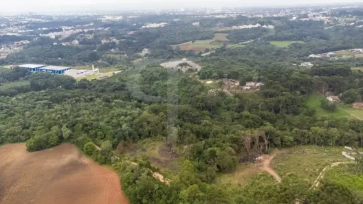 Fazenda/Sítio com 1 Quarto à venda, 14500m² no São Miguel, Almirante Tamandaré