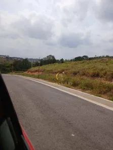 Lote/Terreno à venda, 250m² no Putim, São José dos Campos