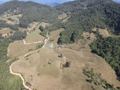 Fazenda/Sítio à venda, 20000m² no Alto Da Varginha, São Pedro de Alcântara