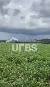 à venda, 25894000m² no , Vila Propício