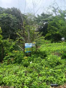 Lote/Terreno à venda, 530m² no Porto do Centro, Teresina