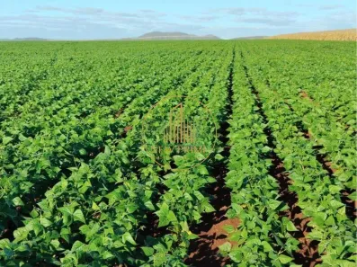 Fazenda/Sítio com 1 Quarto à venda, 510m² no Área Rural de Unaí, Unaí