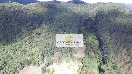 Fazenda/Sítio com 2 Quartos à venda, 210m² no Espírito Santo, Paraibuna