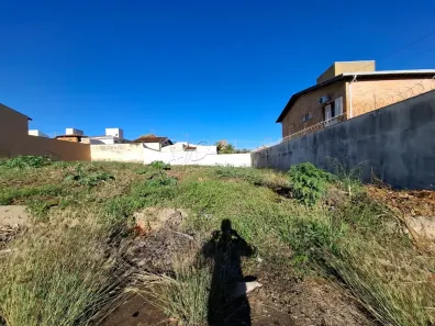 Lote/Terreno à venda, 352m² no Vila Ana Maria, Ribeirão Preto