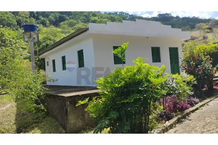 Fazenda/Sítio com 7 Quartos à venda, 250m² no Rio Formoso, Rio Formoso